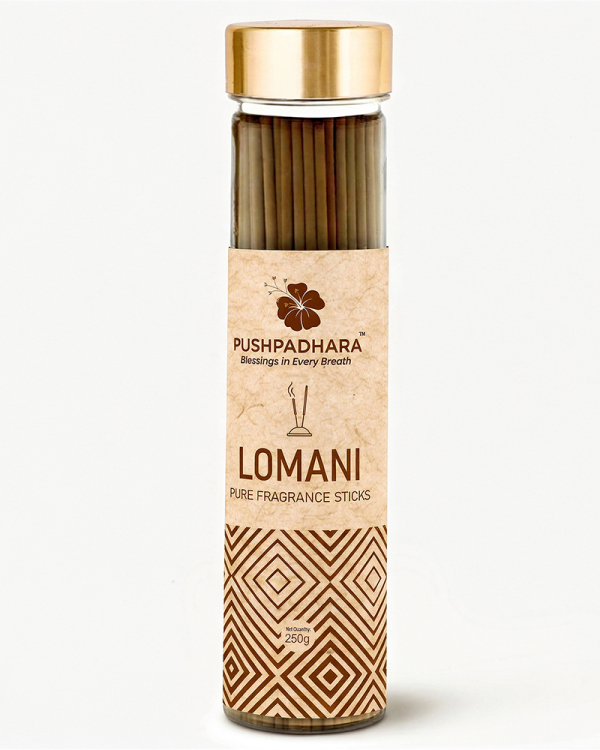 Lomani Fragrance